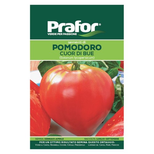 Semi prafor pomodoro cuor - , di