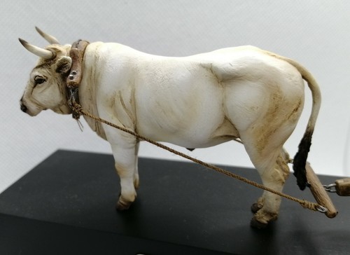 Cixmodels bue in piedi - (cow),