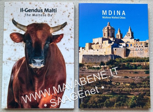 Malta 2025 bue toro - 2025, maltese