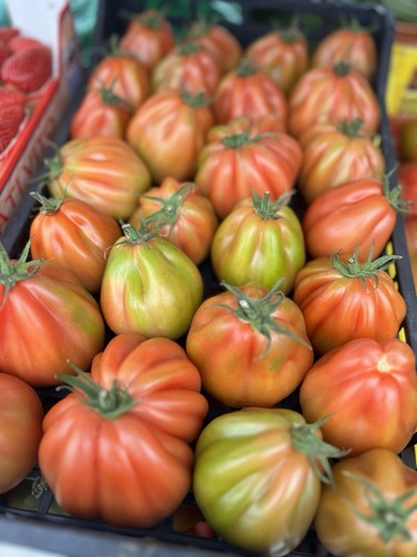 Pomodoro cuore bue - cuore,