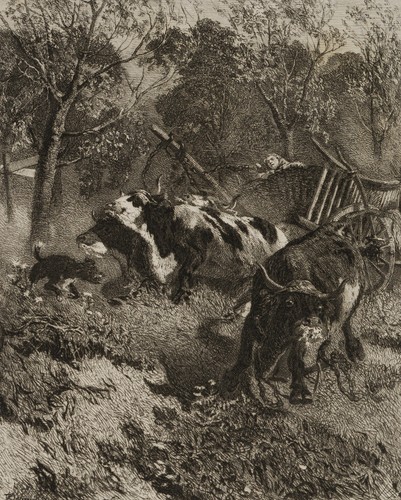 Klaus schmitson - (*1847),