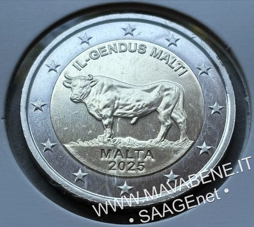 Malta 2025 bue maltese - malta,