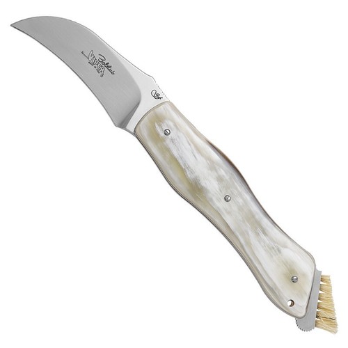Coltello chiudibile funghi - chiudibile,