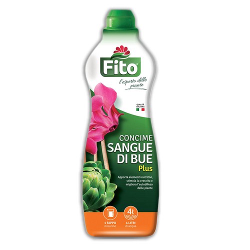 Fito sangue bue - sangue, di